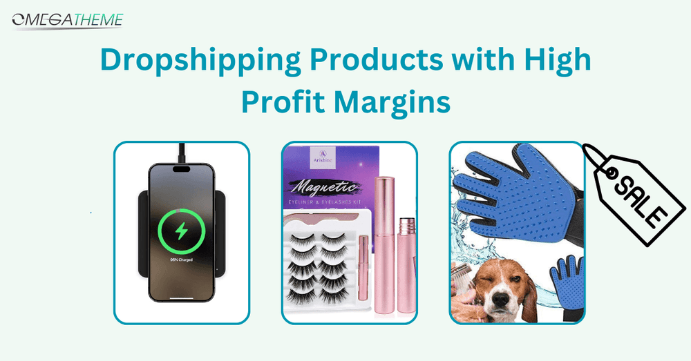 20 Dropshipping Products with High Profit Margins for Success