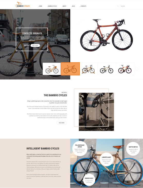 OT Bamboo Cycle home page Joomla template