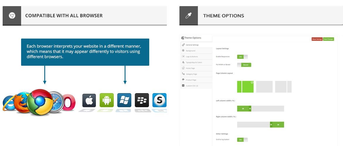 browser compaible and theme options