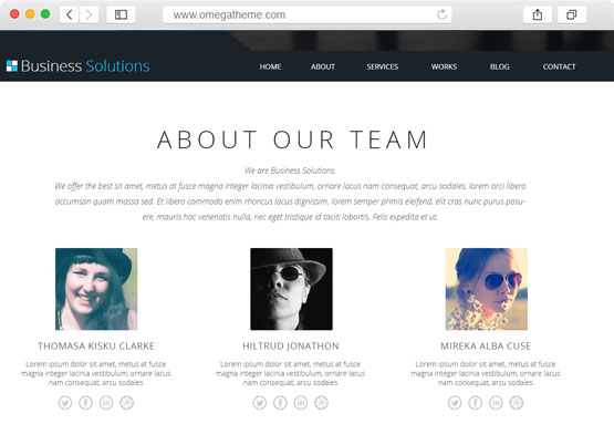 show them all - wordpress our teamwork plugin