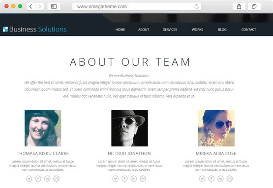 Additional colors show them all - wordpress our teamwork plugin