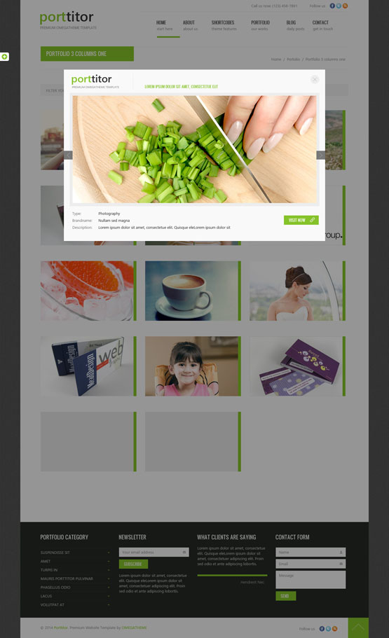 OT Porttitor Joomla template - image popup