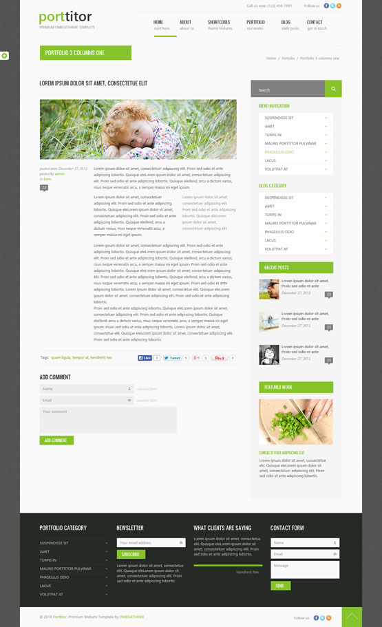 OT Porttitor Joomla template - single article page